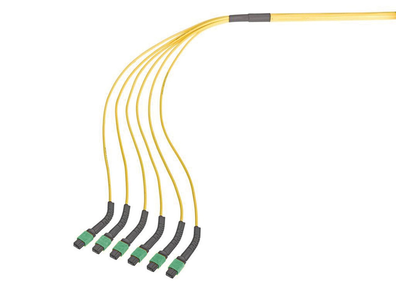 MPO Cable 