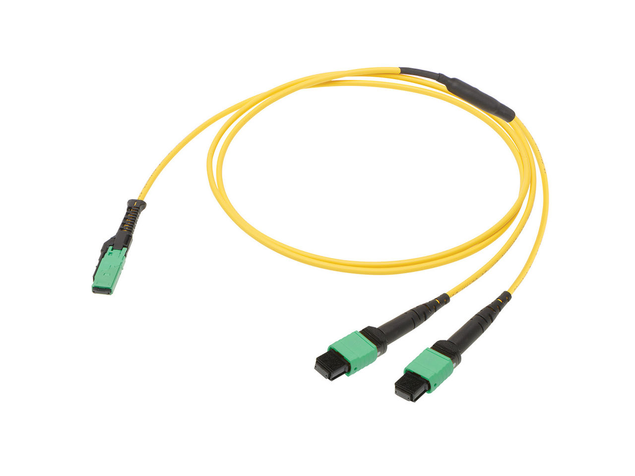 MPO Cable Assembly